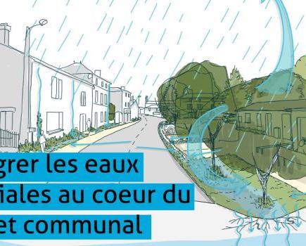 Comment intégrer les eaux pluviales au cœur du projet communal ?